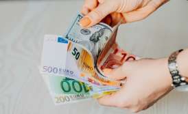 Currency control of foreign economic activity