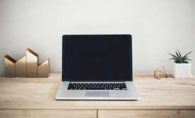 Rights to software for an IT startup in Ukraine.