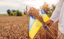 Permanent residence in Ukraine for rare reasons