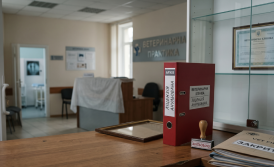 Анулювання ветеринарної ліцензії: як закрити ветеринарну практику без наслідків
