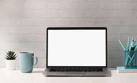 Registration of an IT company in Ukraine for a foreign investor