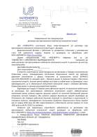 Assistance with Inclusion of LLC in the Electricity Market in 2024