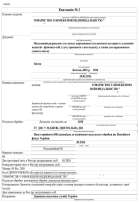 Accounting Support for an LLC.