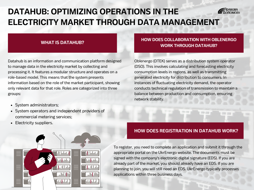 Datahub: Optimizing Operations in the Electricity Market through Data Management