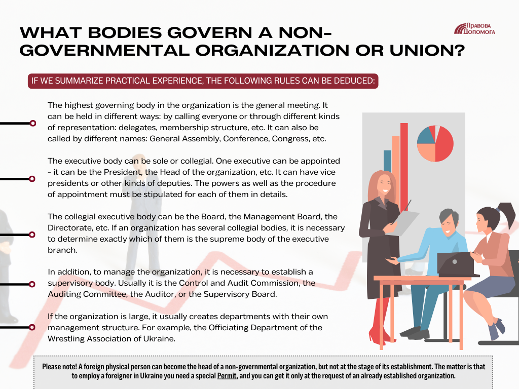 What bodies govern a non-governmental organization or union?